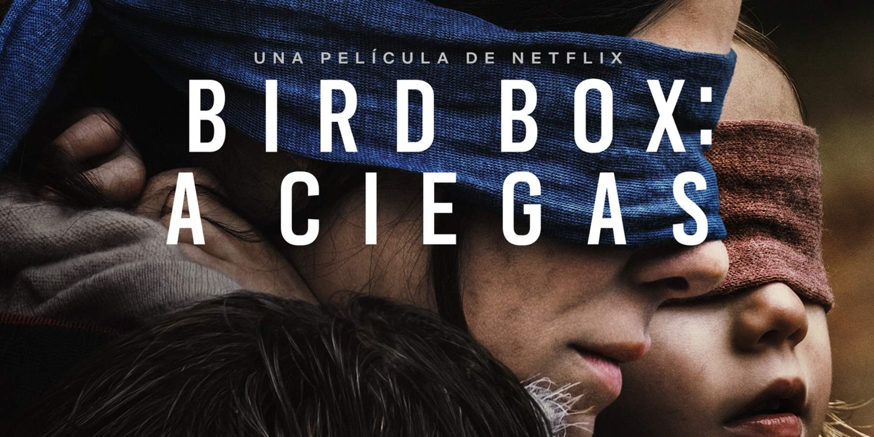 Netflix estrena nuevo trailer de Bird Box