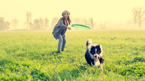 3 deportes que puedes practicar con tu perro este verano 