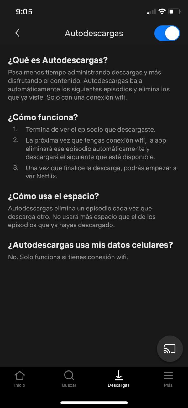 Netflix lanza función de Autodescargas en dispositivos iOS