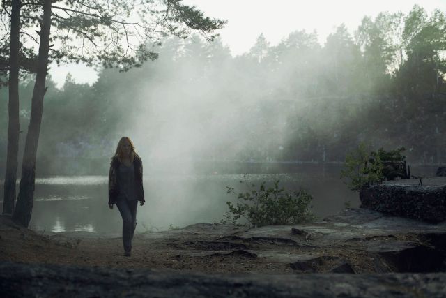 serie que estremece un bosque sueco