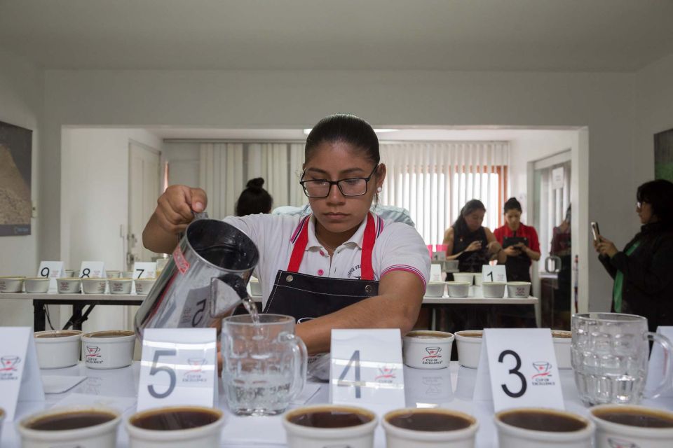 en busca del mejor café peruano