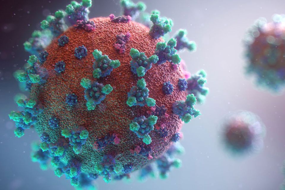 Biotecnología elimina virus