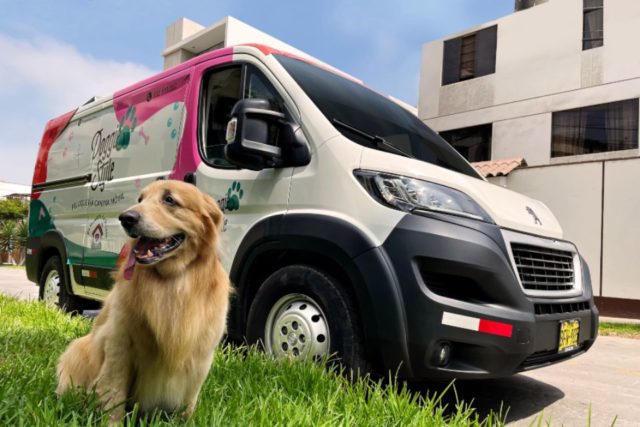 Emprendimiento elige a flota Boxer de Peugeot