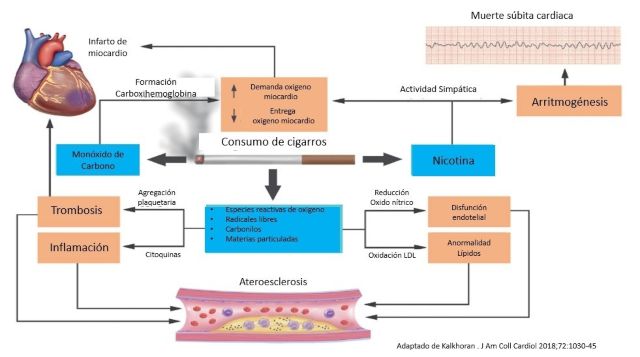 tabaquismo en la salud del corazón