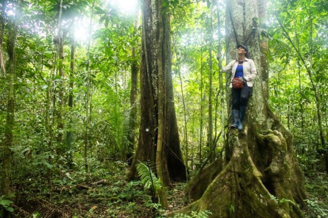 viaja y aprende cómo proteger zonas naturales