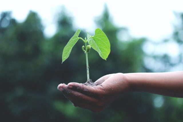 Siete acciones a realizar en casa