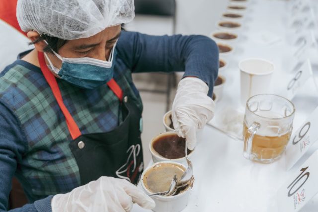 que busca el mejor café del país