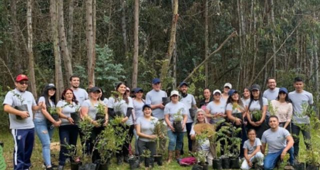 Agilitix realiza Jornada de Reforestación