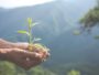 Día Internacional de la Tierra: Tips para cuidar el planeta aprendiendo a ser Eco Friendly
