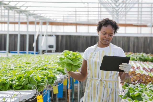 La práctica sustentable en la agenda de consumo