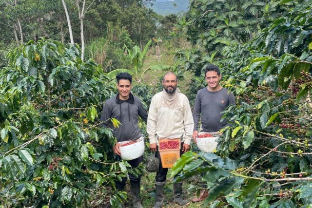 Caficultores del Bosque de Protección Alto Mayo