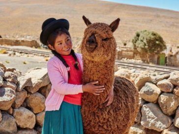 Primera fábrica de prendas de alpaca