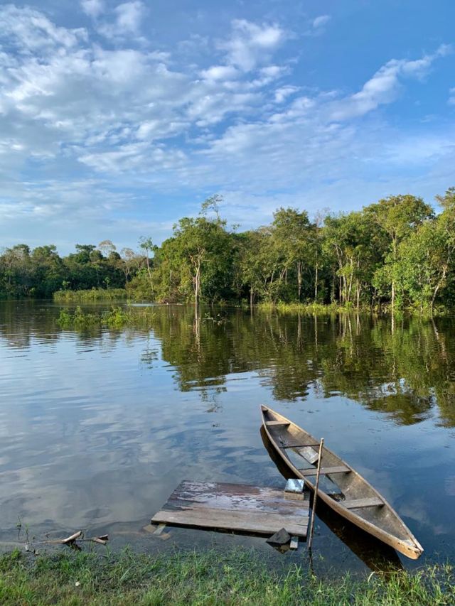 Semana de la Amazonia