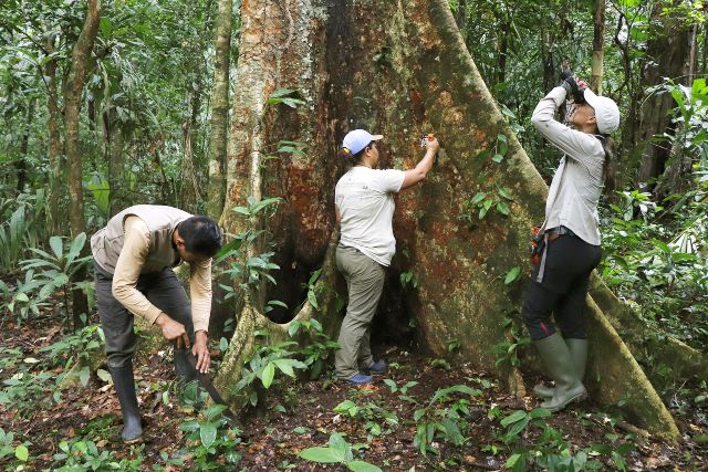 ARBIO Perú logró proteger