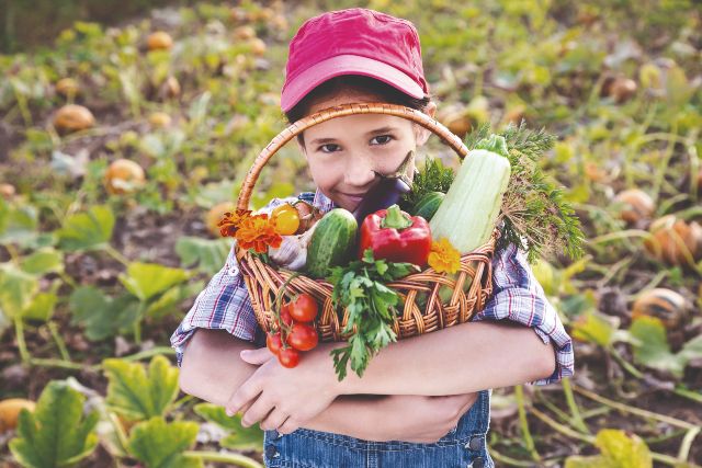 Cursos de verano para aprender francés 