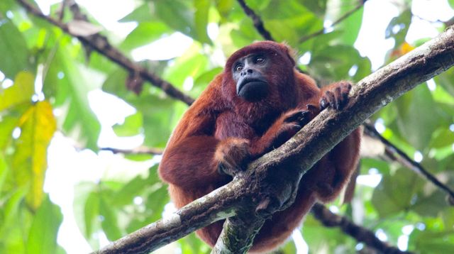 acuerdo en favor de la biodiversidad