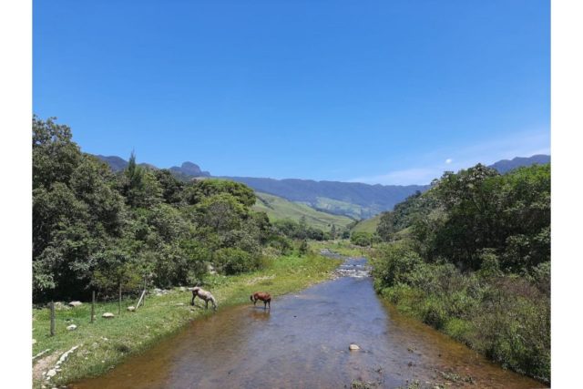 Día Mundial del Agua