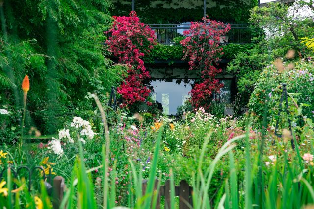 JARDINES PARA DISFRUTAR 