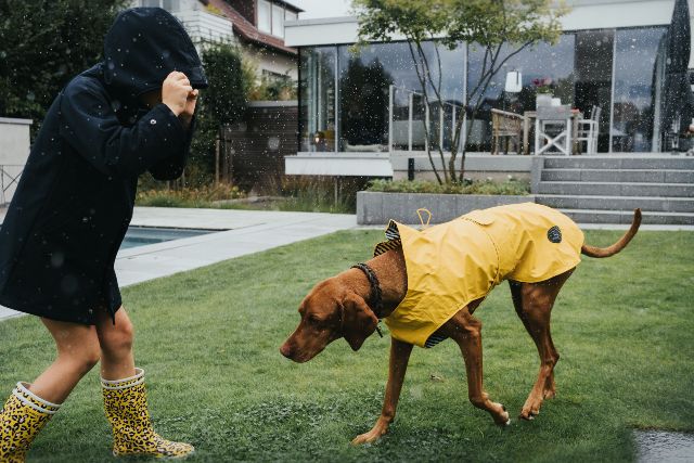 5 consejos para cuidar a tu engreído de cuatro patas