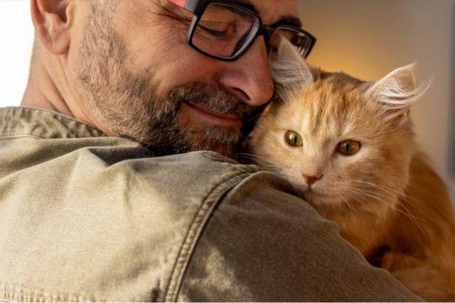 ¿CUÁL ES LA MEJOR ALIMENTACIÓN para un GATO ESTERILIZADO?