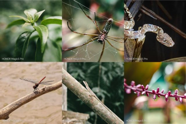 captura la belleza de la selva peruana