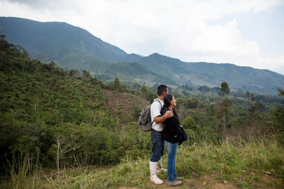 Día de la Preservación de los Bosques Tropicales