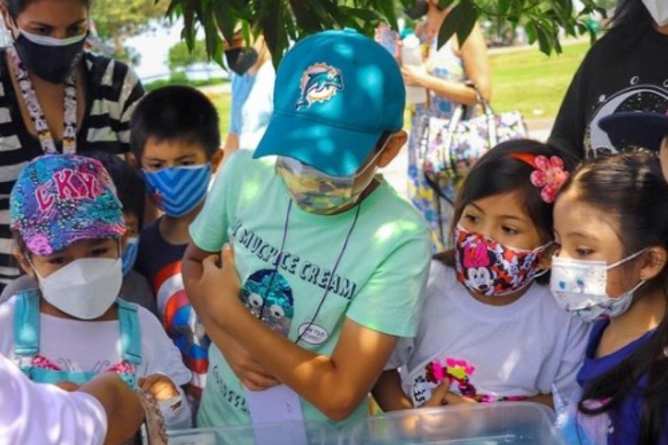 niños y niñas podrán interactuar