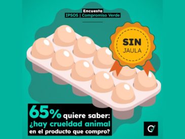 crueldad en la industria peruana del huevo