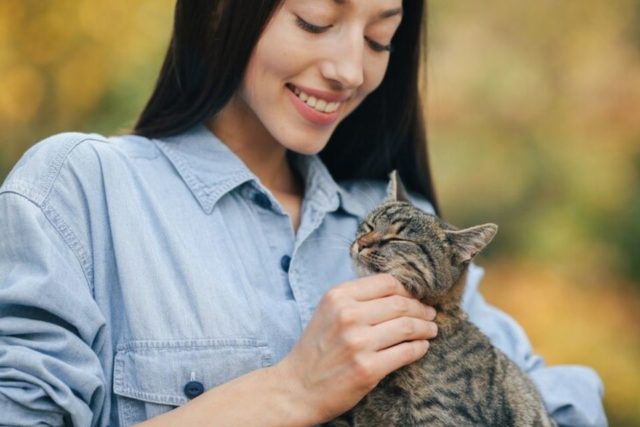 Descubre cómo mejorar la digestión de tu gato