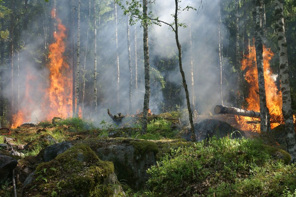 Incendios forestales podrán aumentar