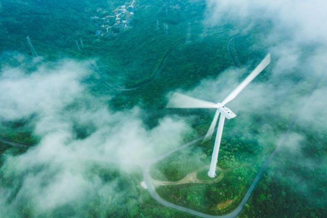 cambio climático y la sostenibilidad