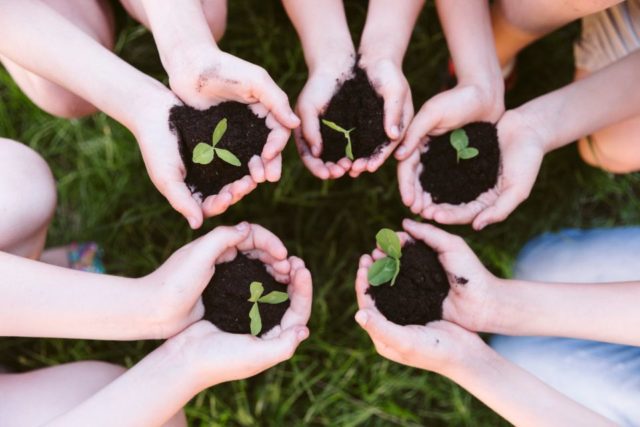 cinco-razones-por-las-que-se-necesita-la-educacion-ambiental-en-los-jovenes