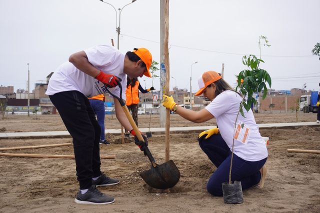 PRIMAX realiza tercera jornada de arborización en Villa El Salvador