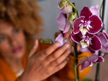 Exposición Internacional de Orquídeas 2023