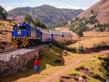 viaja a Machu Picchu con los trenes de PeruRail
