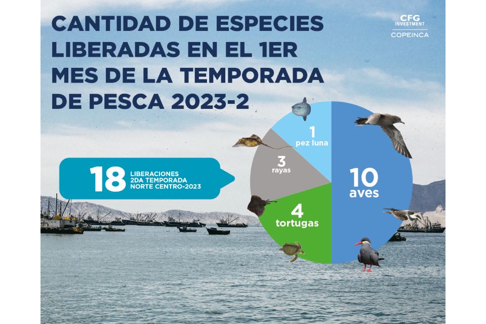 Día mundial de la pesca