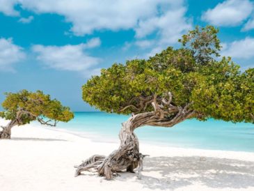 5 motivos para visitar la isla feliz en el 2024