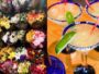 Aranwa Paracas Resort & Spa lanza su nueva Carta de Restaurante & Vinos  2024