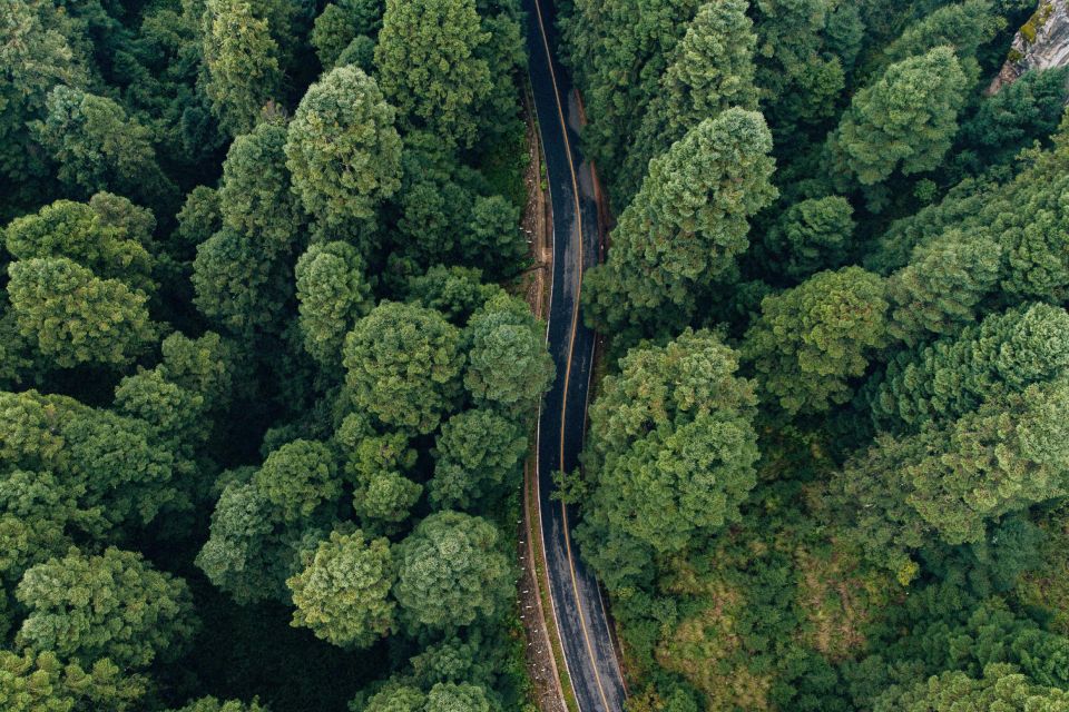 reducir emisiones de CO2