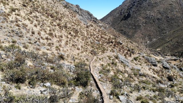 efectos del cambio climático