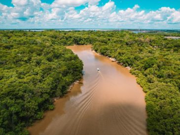 razones para proteger y cuidar los ríos de la Amazonía