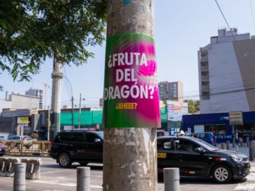 Carteles que invaden las calles ¿Qué es la fruta del dragón?
