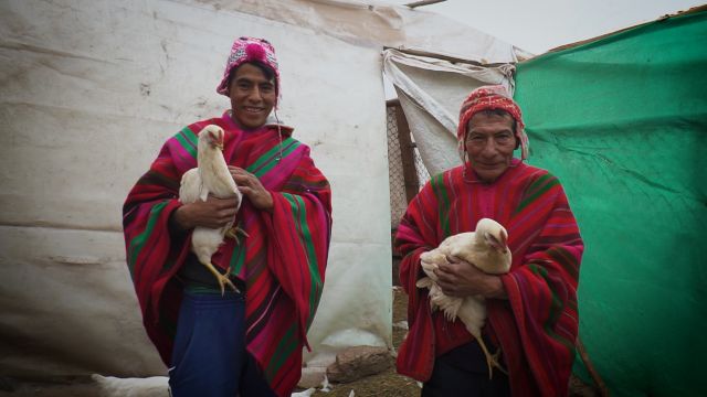 Comunidades rurales vienen produciendo