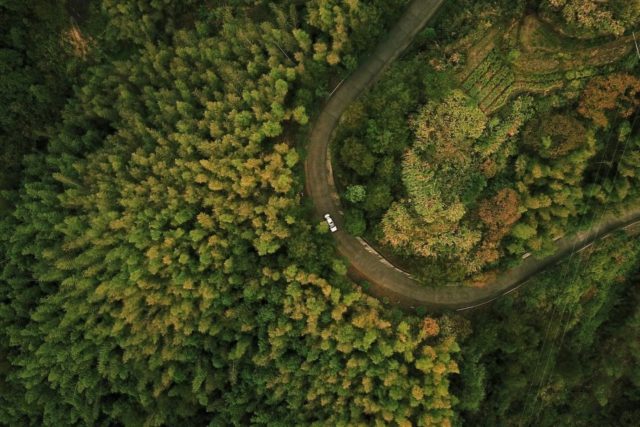 vía directa al Carbon Zero