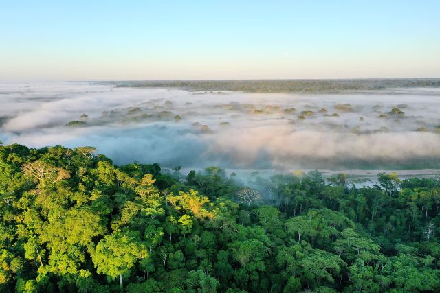 protección por 30 años para el paisaje Manu-Purús