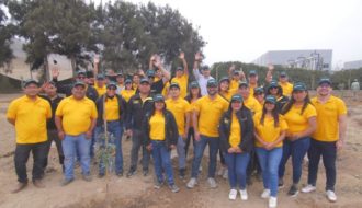 Jungheinrich Perú inició su campaña de arborización