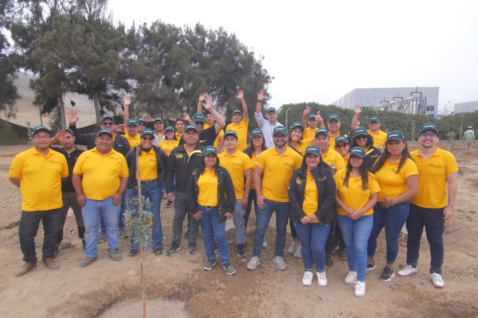 Jungheinrich Perú inició su campaña de arborización