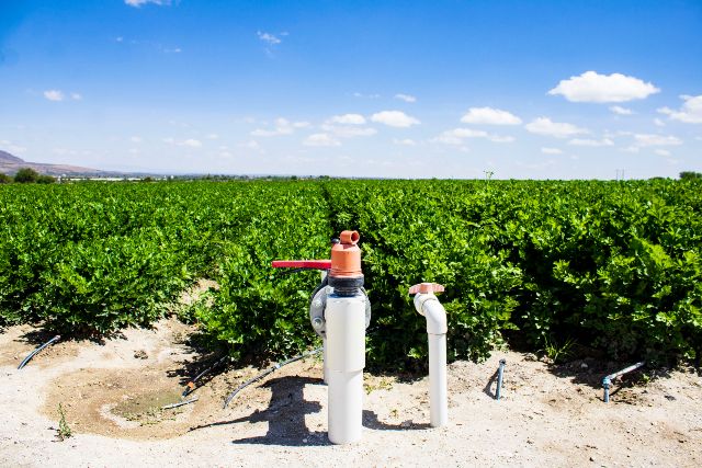 Intel logra el estatus de Agua Neta Positiva 