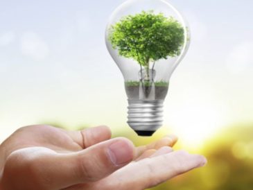 Eficiencia Energética como clave del éxito