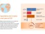 LLYC presenta su informe anual 2023 a través de AIRO, el avatar de su CEO Global